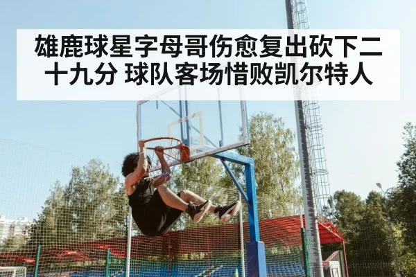 雄鹿球星字母哥伤愈复出砍下二十九分 球队客场惜败凯尔特人